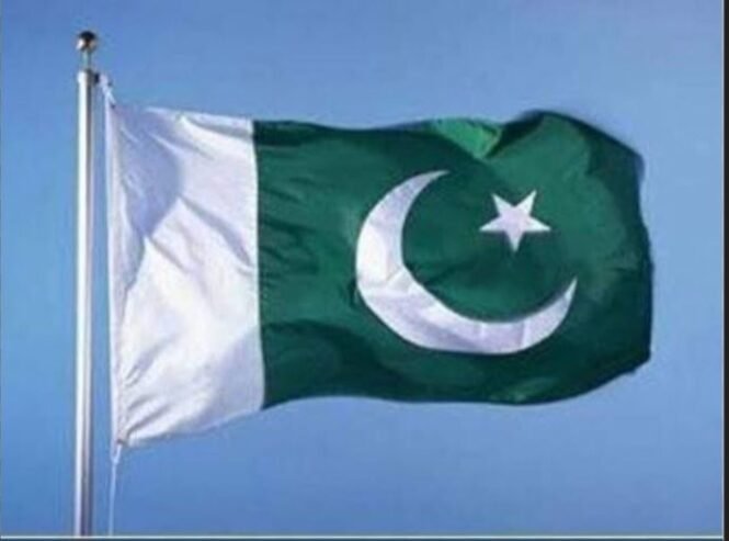 Pakistani Flag