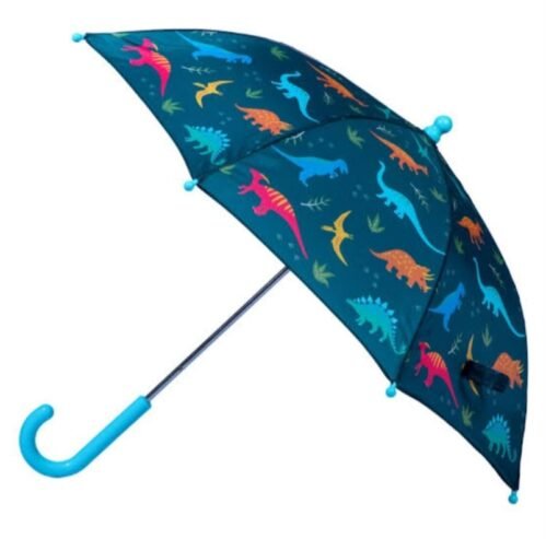 Umbrella