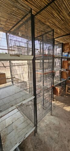 Cage’s for Sell