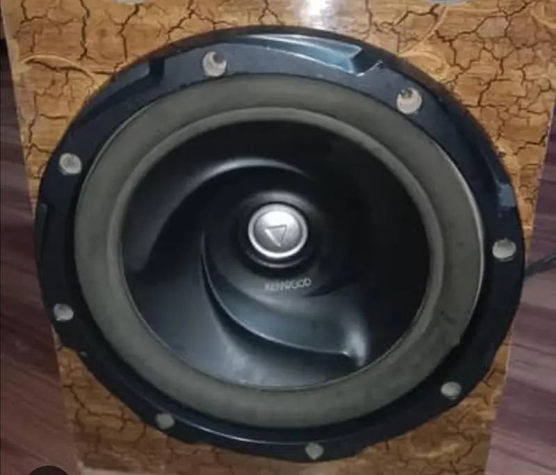 Kenwood dual coil subwoofer