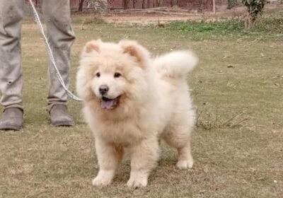 834c8ffa-ea4f-4c77-a49b-e9a695b2ddfc