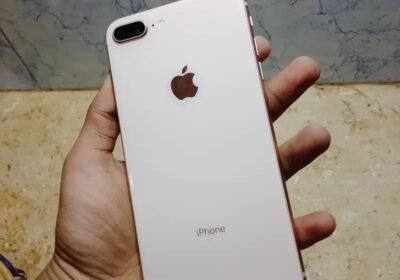 d0e94ff8-b6a2-4491-ab98-0de016bc15c5