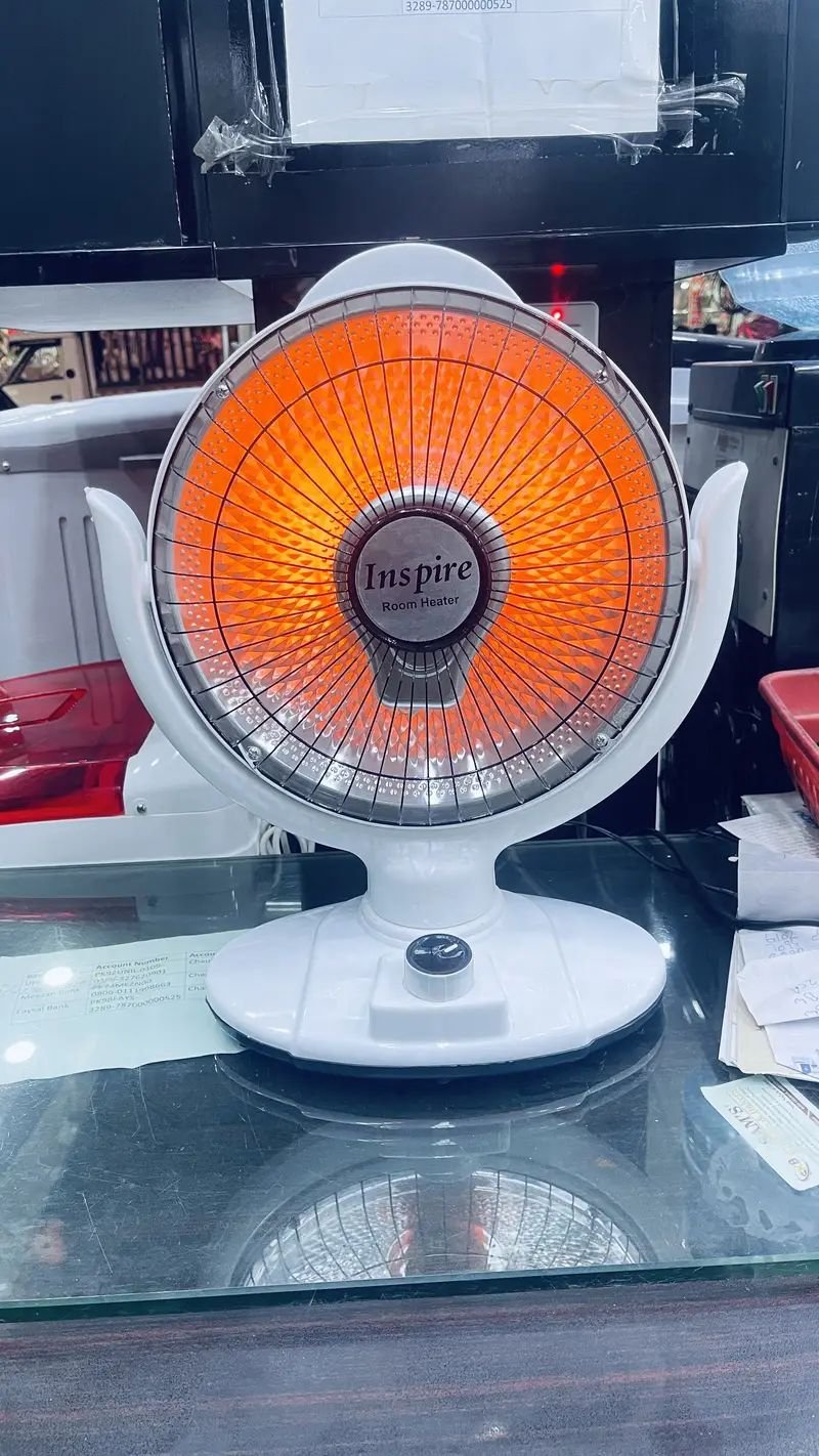 Dual electric gas heater