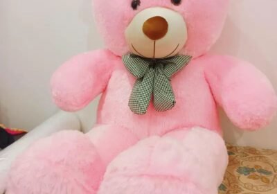 15a016d3-0667-4bd3-9009-2b356b33e83f