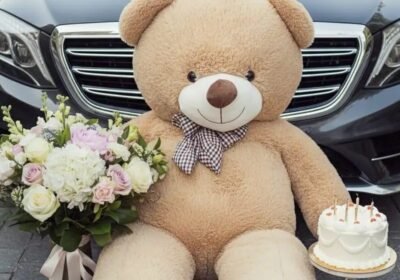 16de4726-2ed4-4e24-b79f-cf8f13e637d3