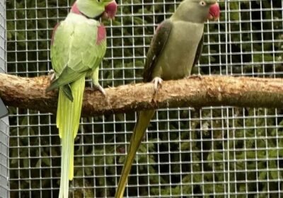 2186fe03-cfb0-4b73-bf28-7169edafb2b6