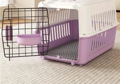 264eb9dd-6d2c-4937-b286-4eb1992aa6d4