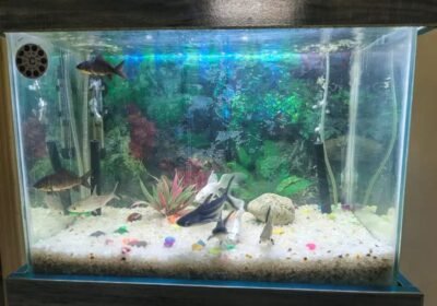 2fe5bfc2-619f-470d-9749-43a27f7db582