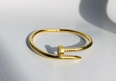 325e313f-0bb0-485f-b8ba-87c84db39e13