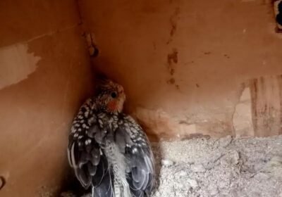 3561807f-a8cf-49f1-a344-7c536432a025