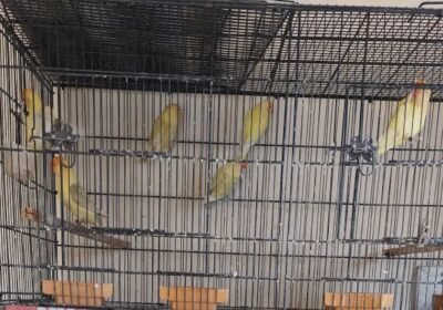 3e092916-3337-4641-a2c0-ecd6ca43982a