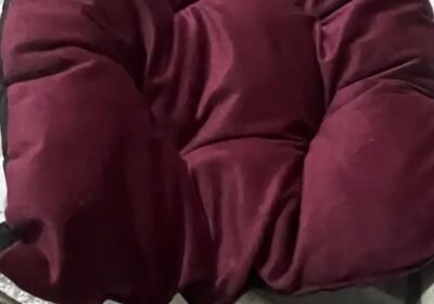 4152875a-594d-42b1-b3f8-5a1d38e5c012