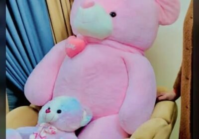 4661928e-d963-4a5a-9847-e60c745ea76b