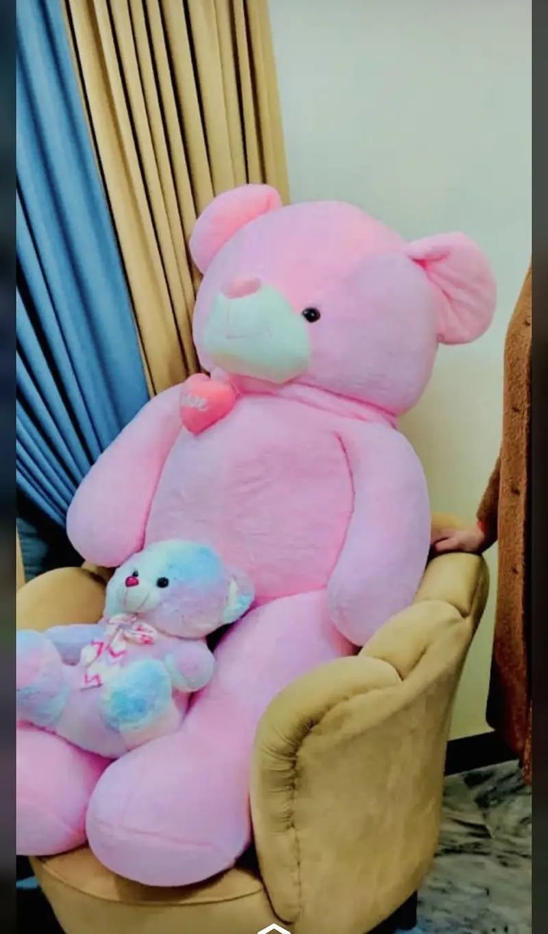 Full suze teddy bear