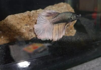 4f2e83e4-79fa-4d4e-ab5c-73b3e0ab7116