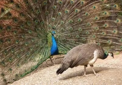 5f6dd537-3b0b-49b1-9fe1-ccafb18a1c6a