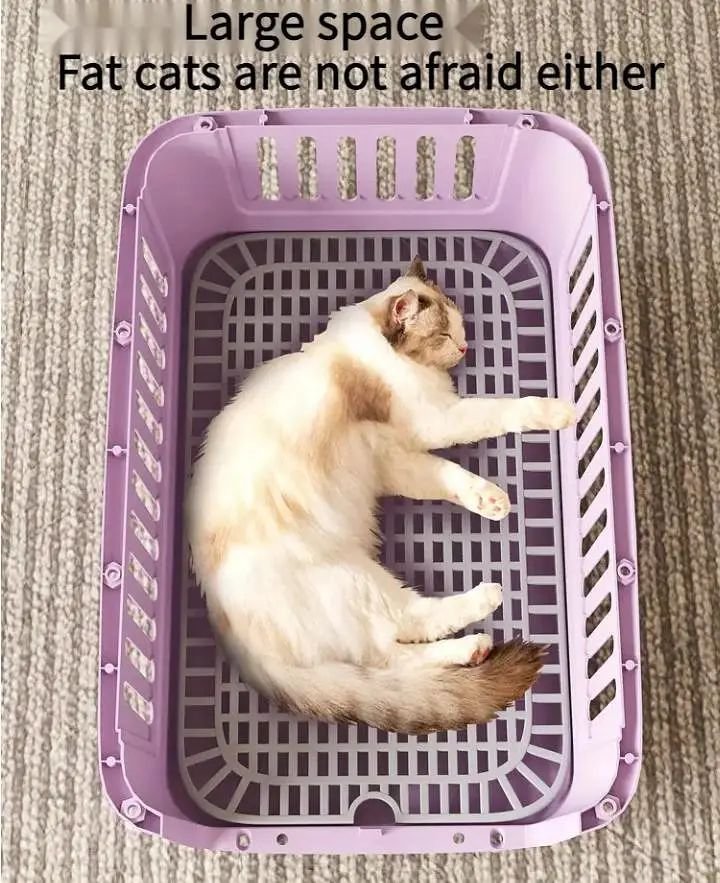 Imported traveling cage for cats and birds