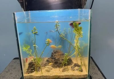 64fb8a37-8402-42a7-b83a-0acef95ec05c