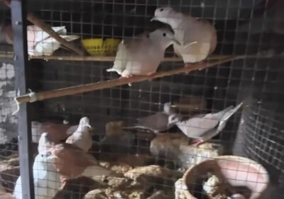 69216a22-9bd9-49e4-94e3-8cfac76bb06f