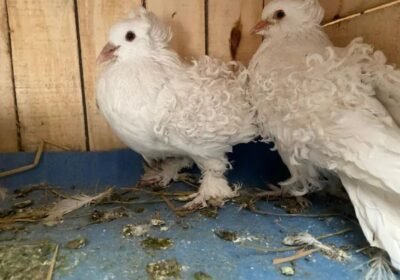 723a14cf-bf58-49ce-8db3-c146315e8007