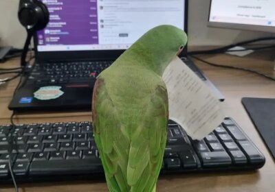 7bdaaa4e-0e36-428c-9089-1ea061694056