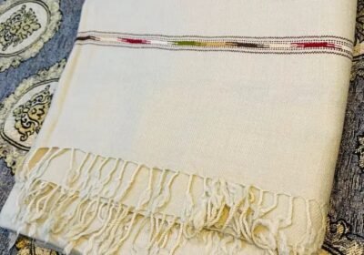 87fc4755-f63c-4eb3-bdd3-eb088040563d