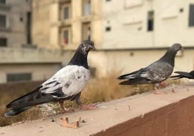 88248d3f-f116-4107-aea7-47ffdc414ef9