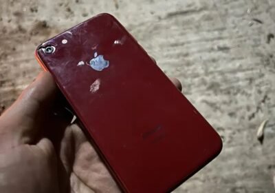 8ed9cc49-7248-418d-a188-9e68866bd494