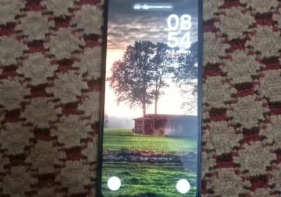 9b56077a-9afa-43aa-813c-65de7d17bd0d