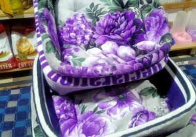 9ba69c88-6e05-41a2-b96e-538093cc2cab