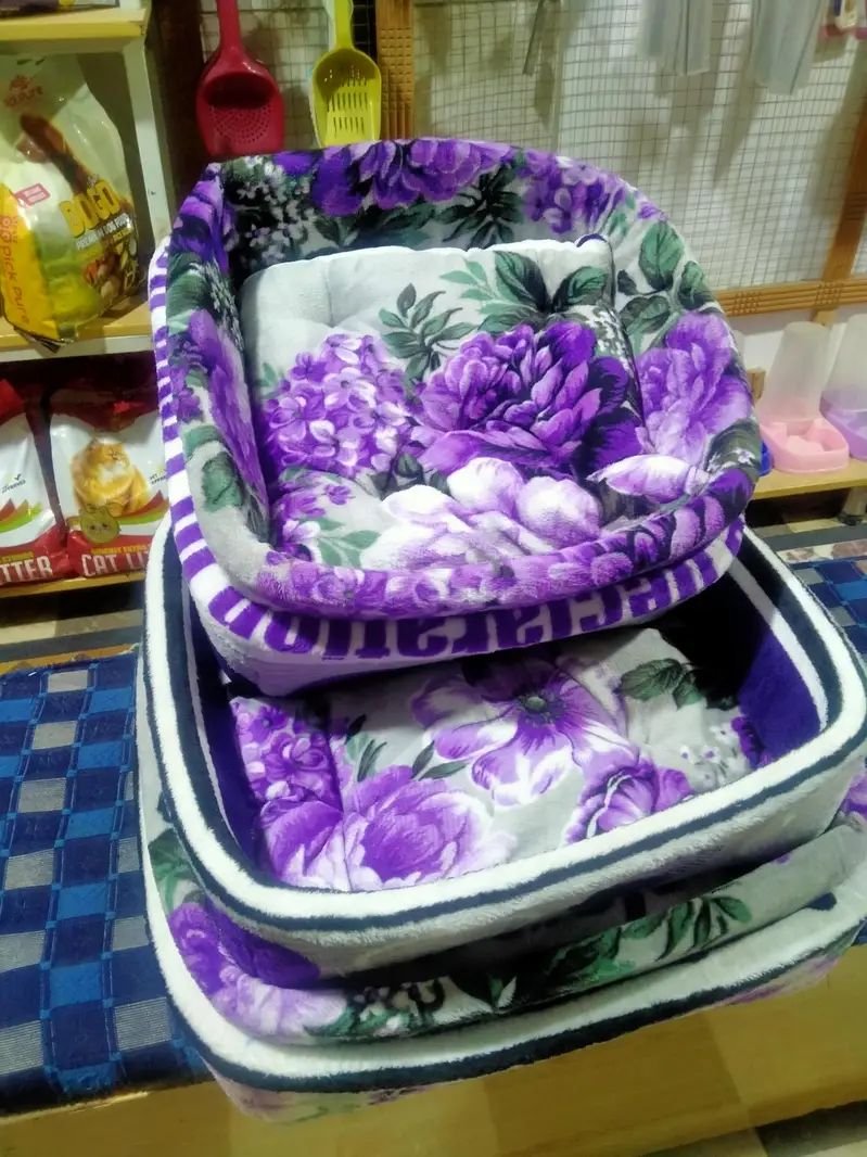 Cat bed available