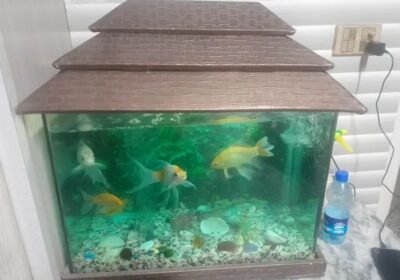 a25ea1f1-084b-4f8b-9cdf-2548f042d0fb