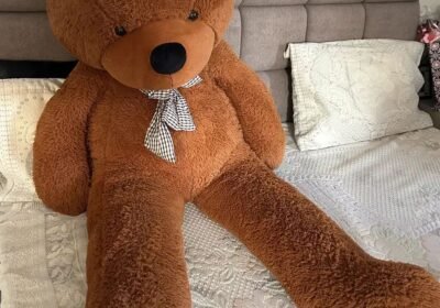 a7fed259-3e0d-499e-804e-bdb86425d18f