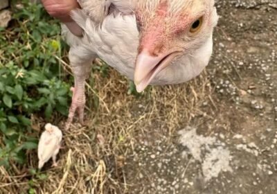 b25e2833-29dd-4afa-9134-b0fed9920c5b