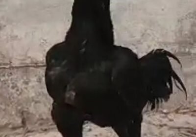 b6602201-9c5c-4446-8c8c-b95f661c9fde