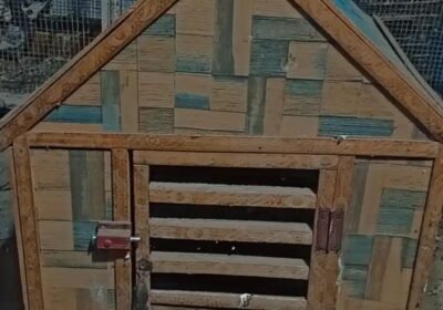 c2ae94f1-9074-4a53-ba31-1109533931aa