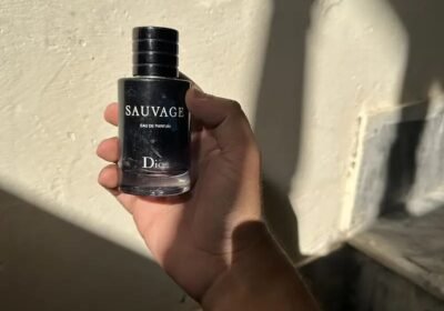 cb6e9155-6c3e-4cd3-92f5-78c968b77b02