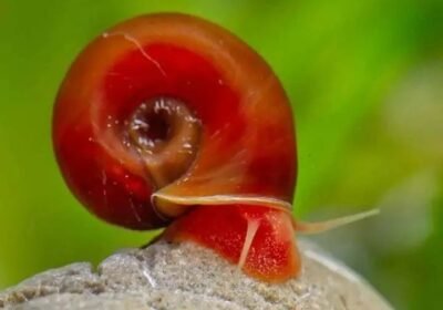 cbc62174-d1c2-4ef3-81a3-2ffe57368068