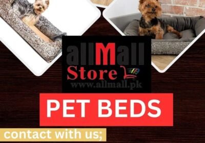 ddb12930-ad47-43ae-a0b8-3aef5bfcad8b