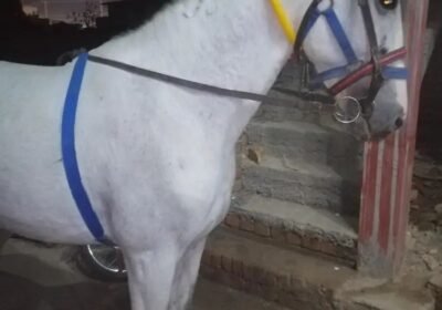 ea28b852-a513-4694-9ee5-170595e6020c