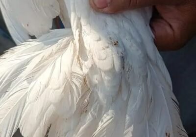 ef3404b8-92ca-4890-a0c2-ac7e007e3050