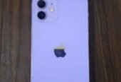 Iphone 12 purple