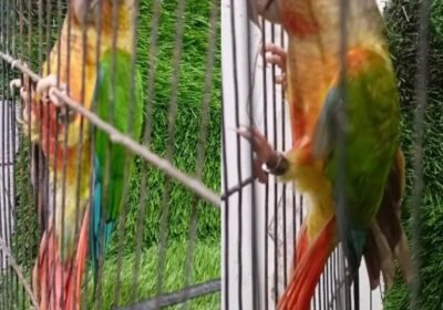 fe2d44d4-da37-411a-bfb9-3cae8174220e