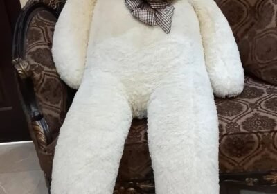 2e98a2dc-21af-4949-8611-948c119b4c79