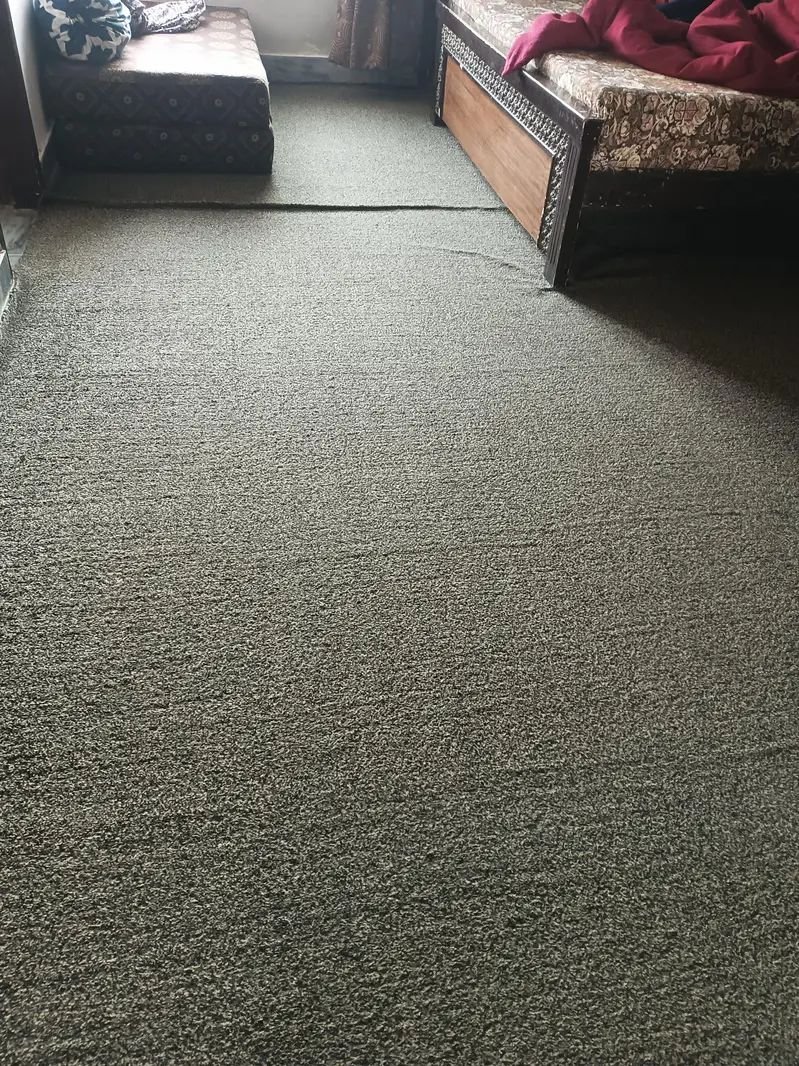 Carpet for Sale