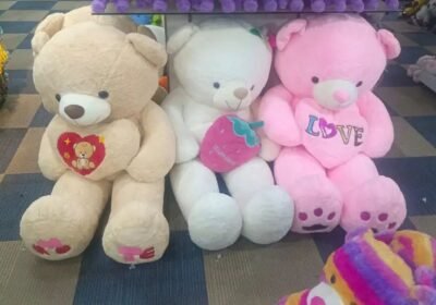 6b715fe3-9655-4d24-8cf9-88b58a8a4f28