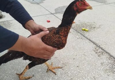 57b0ad1c-eaab-4992-aaee-5b0485a95292