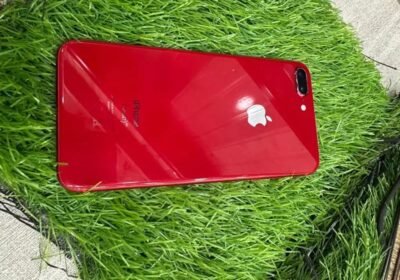 6b025895-bdce-4bb4-bd99-085ce9fd5603