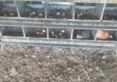 b0710d09-f2cb-44ed-9861-5d58c598dc8d