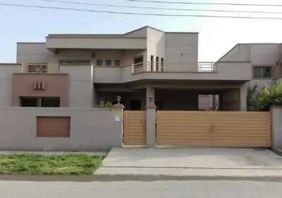 617426333-800×600-1